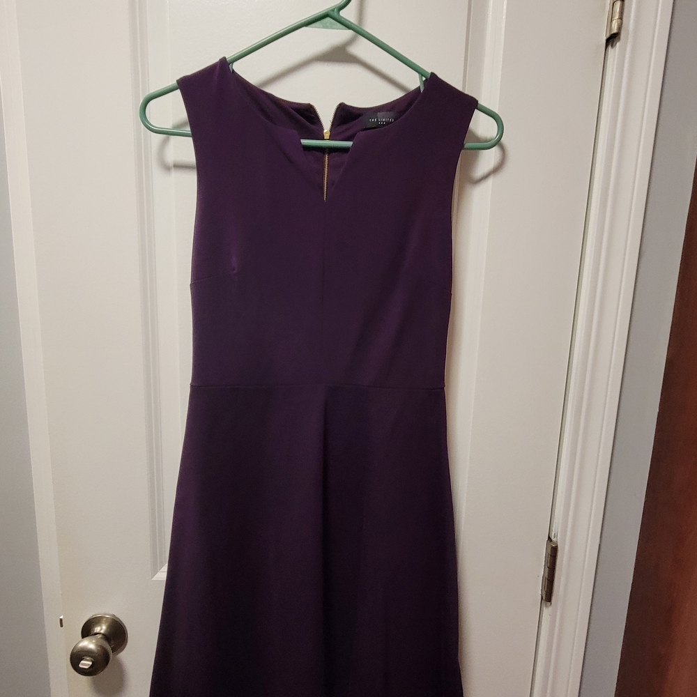 The Limited Deep Purple Dress
